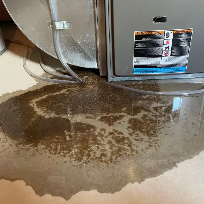 Pipe Burst and Leak Restoration in Saint Clair County, AL