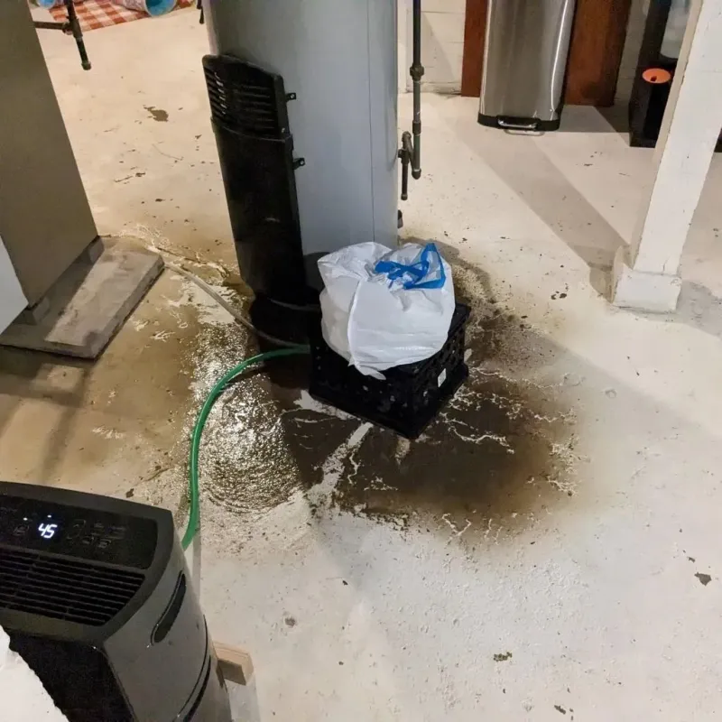 Sewage Backup Cleanup Service in Saint Clair County, AL